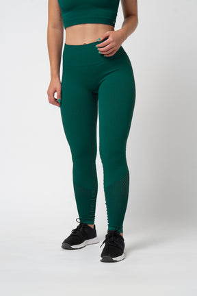 leggings_verdes_desporto